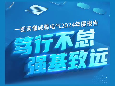一图读懂尊龙凯时人生就是博电气2024年度报告